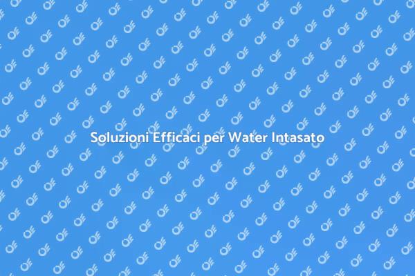 Come Liberarti del Water Intasato
