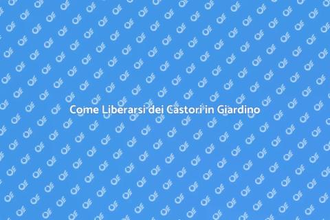 Rimuovere i Castori: Guida Efficace