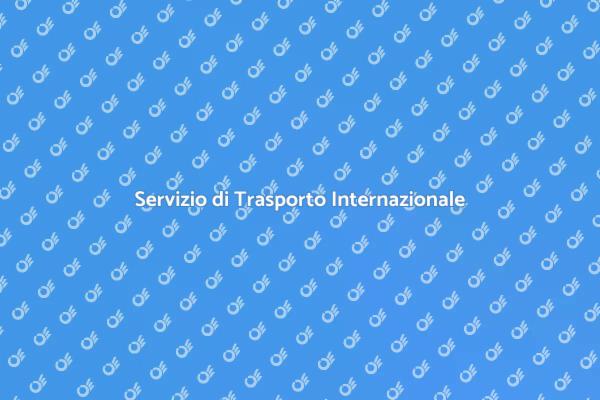 Trasporto Sicuro e Professionale