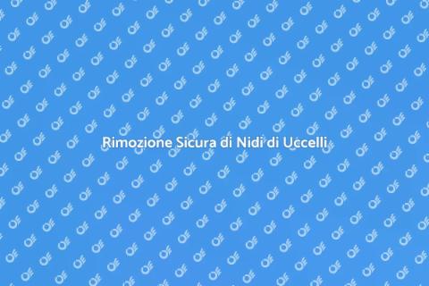 Rimuovere Nidi di Uccelli in Sicurezza