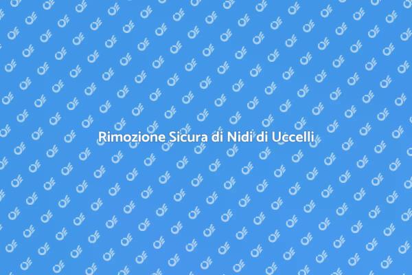 Come Rimuovere Nidi di Uccelli