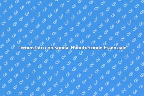 Manutenzione Termostato con Sonda