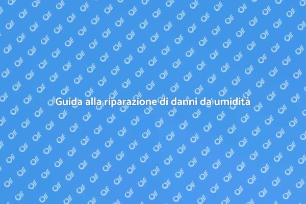 Riparazioni per danni da pioggia e umidità