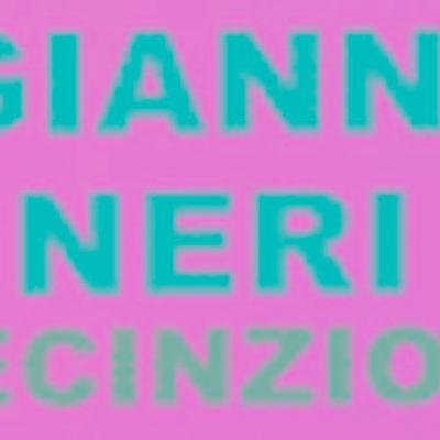 Gianni Neri Recinzioni