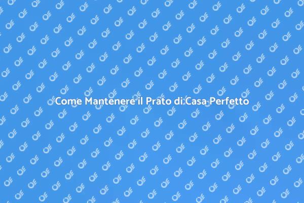 La Guida Definitiva alla Cura del Prato