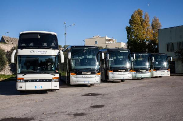 Ciccimarra Carlo e Figli Srl  - Foto 23
