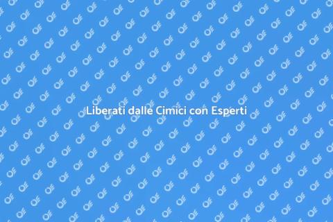 Sterminatore di Cimici: Soluzione Efficace