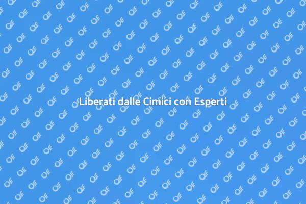 Stermina le Cimici: Dormi Sereno