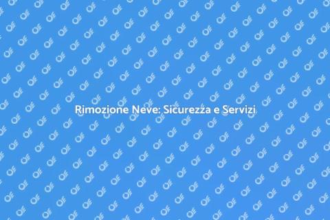Rimuovere Neve: Servizi Professionali