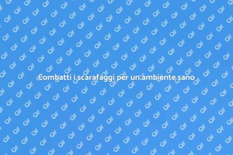 Elimina scarafaggi per la tua salute