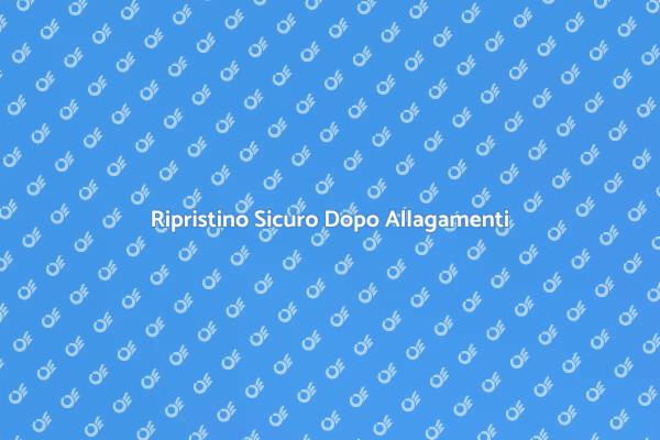 Interventi Efficaci per Ambienti Allagati