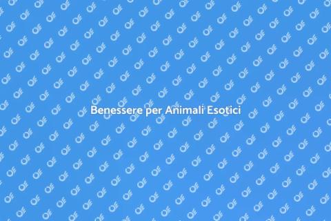 Massaggiatore per Animali Esotici