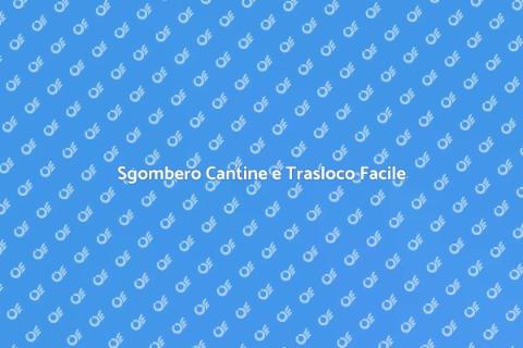 Trasloco e Sgombero: Servizi da Ernesto