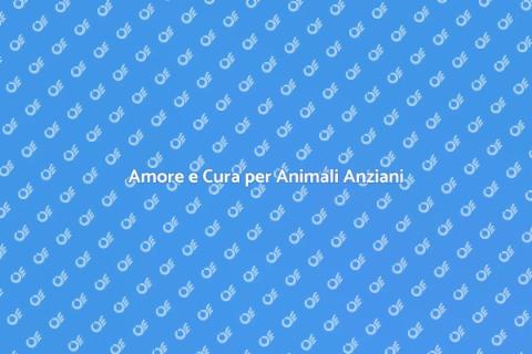 Assistenza Animali Anziani: Un Amore Vero