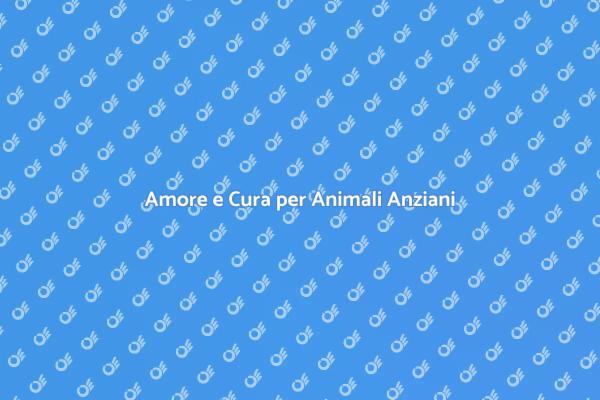 Il Valore dell'Assistenza per Animali