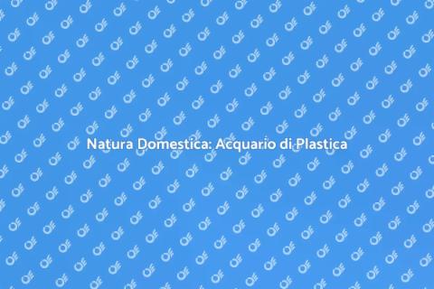 Acquario di Plastica: Natura in Casa