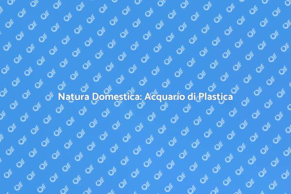 Trasforma il Tuo Spazio con un Acquario