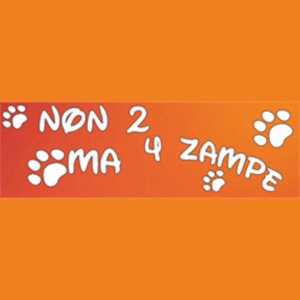 Non Due Ma Quattro Zampe  - Foto 1