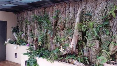 Blugarden  - Foto 5
