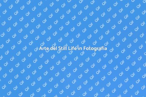 Book Fotografico di Still Life