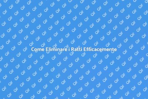 Disinfestare i Ratti: Guida Essenziale