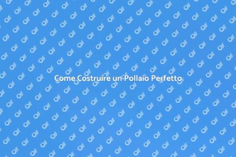 Costruire un Pollaio: Guida Completa