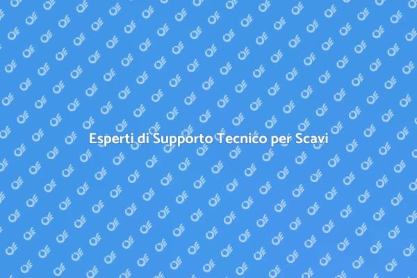 Importanza del Supporto Tecnico negli Scavi