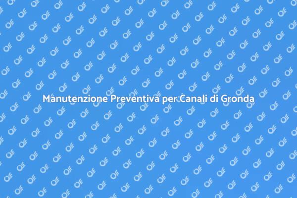 Manutenzione Essenziale dei Canali di Gronda