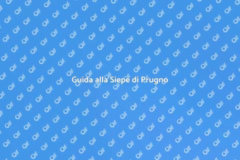 Progettare una Siepe di Prugno