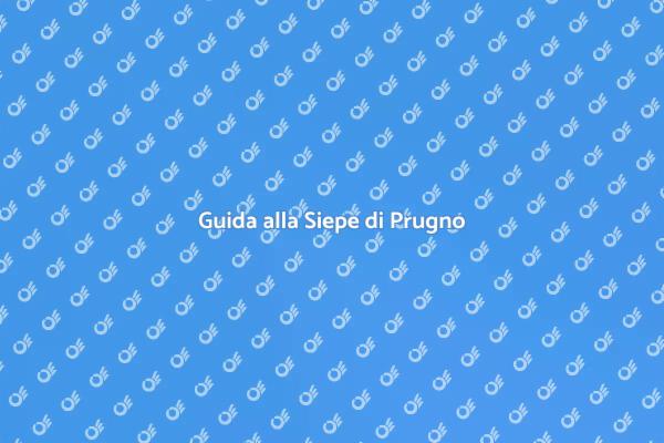 Progetta la tua Siepe di Prugno