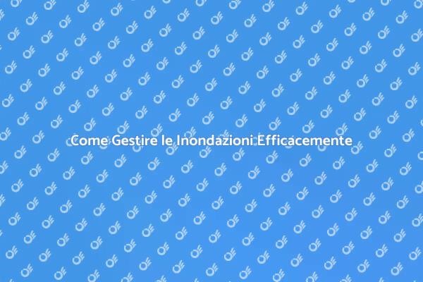 Ripristina il Tuo Spazio Dopo un'Inondazione