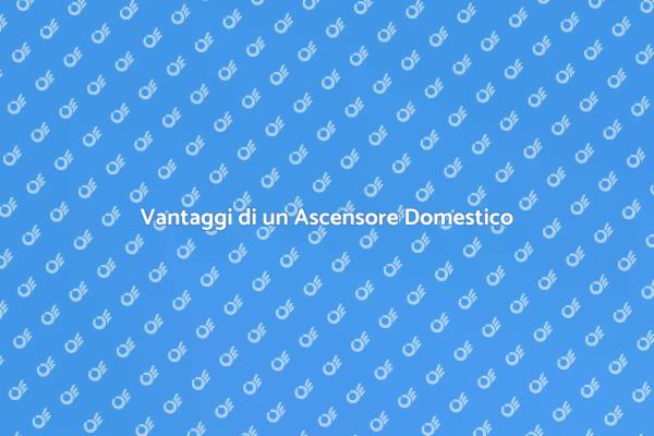 Ascensore in Casa: Un Vantaggio Unico