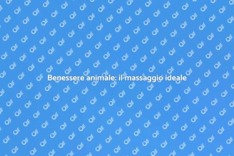 Massaggiatore qualificato per animali