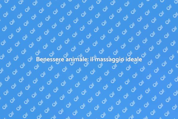Massaggio: benessere per il tuo animale