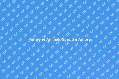 Pensione per Animali: Cura e Comfort