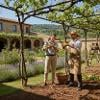 Come Trovare Giardinieri per la Potatura della Vite