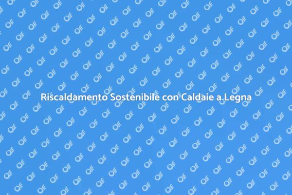 Scegli Caldaie a Legna per Riscaldare