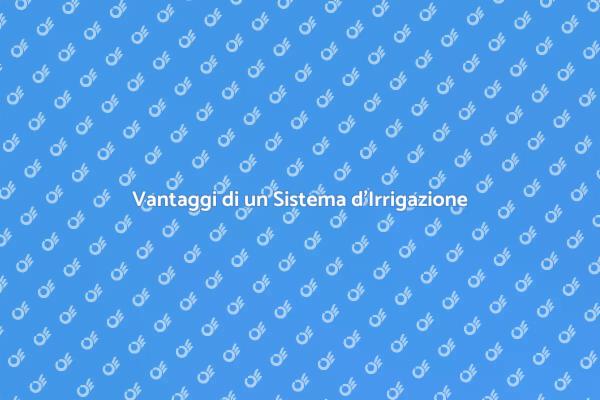 Irrigazione Efficiente per il Giardino