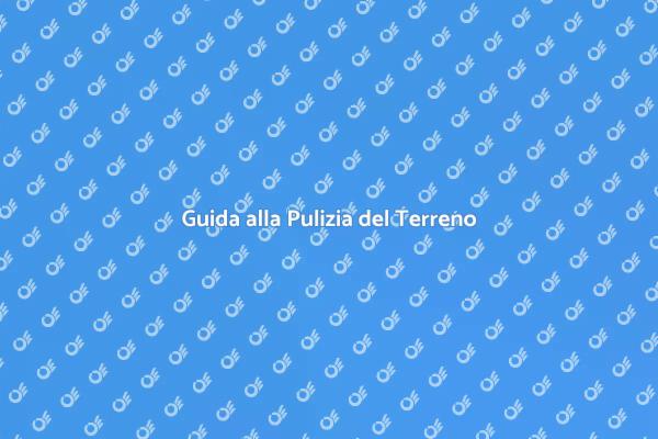 Pulizia del Terreno: Un Passo Fondamentale
