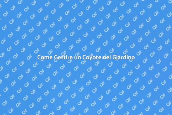 Soluzioni per Coyote in Giardino