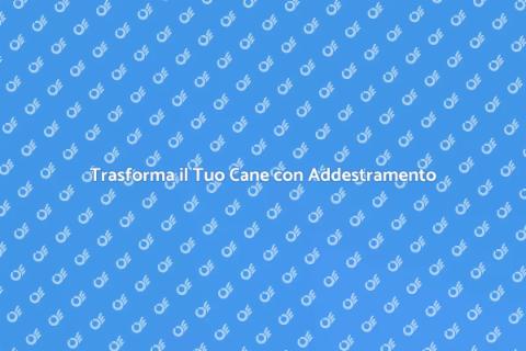 Addestratore Cani Professionista