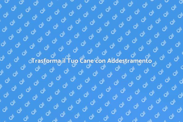 Diventa un Esperto nell'Addestramento Canino