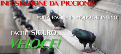 Bio e Energy Disinfestazione  - Foto 8
