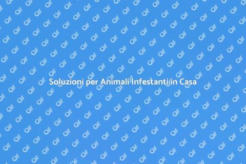 Rimozione Animali Infestanti Efficace