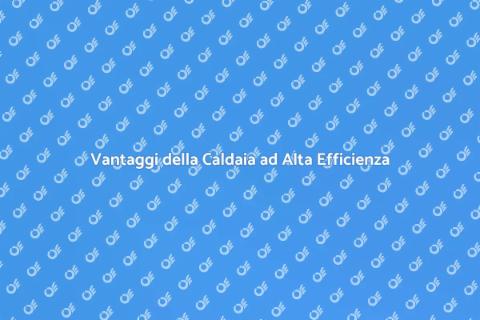 Caldaia ad Alta Efficienza Energetica