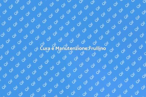 Manutenzione Frullino a Immersione