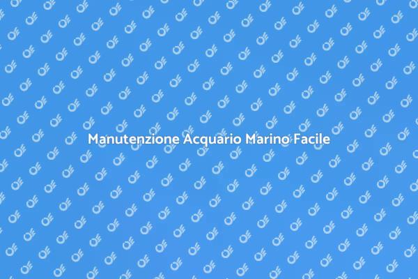 Come Mantenere l'Acquario Marino