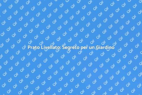 Livellamento Prato per Giardino Perfetto
