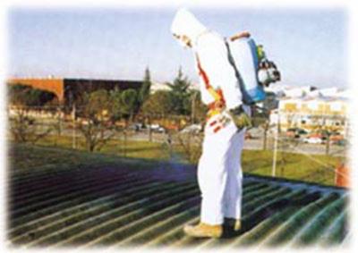Serre Eternit  - Foto 2