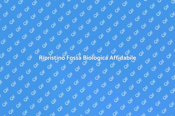 Servizio Professionale per Fossa Biologica